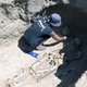 Illustration for article titled Remains of “Warrior Princess” Found Buried Alongside Dagger and Sword